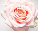 大人のための占い＊タロットで鑑定します 恋も仕事も。一人の女性として前向きな一歩を踏み出せるように。 イメージ5