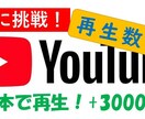Youtube再生回数を目標回数まで継続宣伝します 最安に挑戦！全て日本人、3000回再生を3000円から！ イメージ1