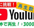 Youtube再生回数を目標回数まで継続宣伝します 最安に挑戦！全て日本人、3000回再生を3000円から！ イメージ1