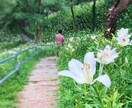どんなは何の話も聞きます 占い師でカウンセラーあなたが元気なるように イメージ3