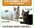 あなたの代わりに売れるコンテンツ作成します 面倒な商品作りは丸投げ！AI活用のプロ品質作成代行！ イメージ8