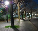 深夜にタロットによる恋愛、人間関係を鑑定します 悩んで眠れないそんな夜、あなたの思いを鑑定してみませんか？ イメージ1