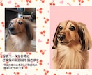 実物よりも映えるペット似顔絵を描きます 大切な家族を厚塗りイラストで提供します イメージ2