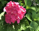 悩みや愚痴、あなたのお話聞きます 3日間、メッセージし放題でお話してみませんか？ イメージ4