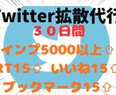 Twitter30日間毎日インプ5000増加します インプ5000+RT15+いいね15+ブックマーク15に拡散 イメージ2