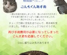 地域密着！保護猫イベントのチラシお作りします “会いに行きたい”と思ってもらえるデザインを。 イメージ8
