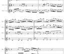 フルートに特化した譜面に編曲します 海外オケ首席フルート奏者が、フルートアンサンブルの編曲します イメージ3