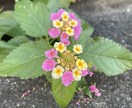 色んな恋をしてきたからこそアドバイスできます 会話を重ねて話し合い悩みを解決していけたらと思います。 イメージ1