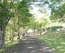 大阪府限定: お墓参り・簡易清掃の代行をいたします あなたに代わって。大切なご先祖様へ、心を込めて。 イメージ2