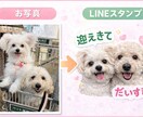 あなたのペットでLINEスタンプ作ります 毎日使いたくなるうちの子スタンプ イメージ4