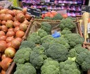 オーストラリア留学(ワーホリ)に必要な準備教えます これからオーストラリアでの生活をスタートさせる方へ イメージ4
