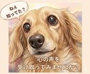 アニマルコミュニケーションで繋がる心の声届けます 質問3つ/うちの子からの言葉と、カードからの導きをお届け イメージ1