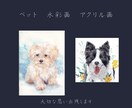 大切なペットを手描きで残します 水彩画・アクリル画で心を込めて制作します。 イメージ1