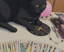恋愛全般★占い鑑定しながら不安な気持ち聴きます 恋愛タロット占い+傾聴であなたの気持ちに寄り添います イメージ3