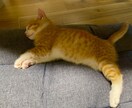 愚痴をお聞き致します ストレス発散しませんか？愚痴を思いっきりぶつけてください。 イメージ4