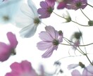 あなたの撮った写真のRAW現像を代行します 現役で写真現像をしている私があなたの写真を仕上げます！ イメージ1
