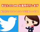 あなたのTwitterを運用代行して変革させます 初心者様必見！魅力的なアカウントに…… イメージ1