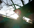 自身の潜在能力を見つけ出し、希望ある未来へ導きます 性格分析、魅力開発、あなたを開運へと導きます イメージ5