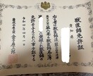 夜間の不安に！今すぐ病院？を現役獣医師が整理します 夜に突然気になる症状が出て不安な飼い主様へ イメージ2