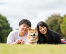 犬・猫・ペットの自然な写真を撮影します ペットと家族が過ごす時間をプロクオリティで残しませんか？ イメージ3