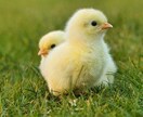 自問自答をモヤモヤと繰り返す気持ちに寄り添います 同じことを悶々とループ！悩みたくないけど悩んでいる方の相談室 イメージ4