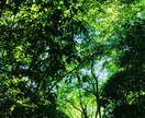 メンヘラが心理相談承ります 病んでる人じゃないとわからないことありますもんね。 イメージ1