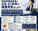 現役実業経営者が広告・EC事業の課題発見をします 机上の空論ではない、経営視点で解決法を考案、並走します。 イメージ1