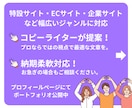 ホームページ内の文章全般を制作します 歴9年のプロによる文章で、サイト訪問者に印象的アプローチ! イメージ2