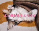 お友だち感覚で❣️気軽にお話し出来ます 堅苦しいのが苦手な方･*リラックスしてお話ししましょう✧₊ イメージ3