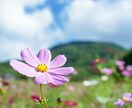 看護師と話たい方✨5分でも♫楽しくお話します 看護師歴20年、大学病院、メンタルクリニック勤務お話伺います イメージ5