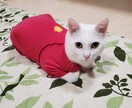 無条件であなたの孤独に寄り添います 精神科訪問看護STの運営管理者があなたの孤独に寄り添います イメージ2