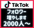 TikTokフォロワーを増加します TikTokフォロワー宣伝・拡散！いいね・再生数も対応可能！ イメージ1