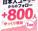 インスタグラム日本人フォロワーゆっくり増やします インスタ日本人800人増加！Instagram運用　補填保証 イメージ1