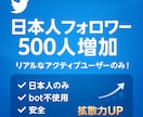 Twitter✨日本人フォロワー500人増やします 日本人の実際に利用してるアクティブユーザーからフォロー！ イメージ1