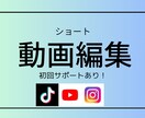 初めての方も安心！SNSショート動画編集しますます SNSショート動画編集します！【丁寧＆スピード納品】 イメージ1