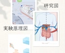 研究図・論文図・医学イラスト作成します 学会発表・実験原理図・細胞経路図・手術説明図まで対応できます イメージ1