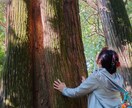 望む現実を創造します あなたの世界の創造主はあなたなのです。 イメージ7