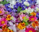 子供のイヤイヤ期にイライラするママさん寄り添います 否定やアドバイスなし！あなたの気持ちに共感し傾聴致します✨ イメージ4