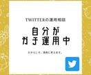 Twitter運用に関するお悩みを何でも聴きます Twitterガチ運用勢がNGなしで何でも質問に答えます イメージ1