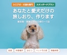シニア犬の体力に合わせた犬連れ旅プラン作ります 段差・休憩・おむつまで調べる、シニア犬・犬連れ専門 イメージ3