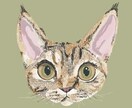 みなさまのうちのこのイラストを描きます うちのこ似顔絵イラスト《お顔のみ》 イメージ3