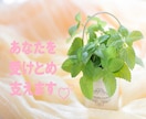 乳がんと向き合う方とご家族にそっと寄り添います 困っていること、ピンクリボンアドバイザーにご相談ください☘️ イメージ1