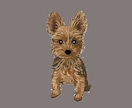 写真から犬の似顔絵を描きます お気に入りの表情の「ワンちゃんの写真」から似顔絵を描きます イメージ8