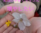 ママを応援、その愚痴聞きます ママさん(０〜６歳)聞いて受け止め応援します! イメージ2