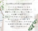 マインドコーチングセッションします 子育て、ペットとの暮らしの不安を解消しませんか？ イメージ2