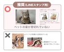 ペット写真をLINEスタンプ用に切り抜きます 動物専門の自然な切り抜き。毛並みまで丁寧に再現します。 イメージ5