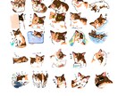 お好きな写真を参考にイラスト描きます 気持ちが明るくなるような作風を目指しています イメージ2