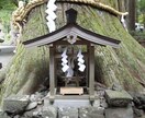人間関係鑑定◆ご縁を整え穏やかな距離感にします ママ友、職場、隣人、家族、煩わしい人との根本原因を解決へ イメージ8