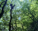 INFJの直感で思考のモヤモヤをスッキリ整理します まとまらないお話でOK！あなたの本質を会話から見抜きます イメージ1