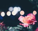 期間限定！ワンコイン＊タロットとオラクルで占います 恋愛相談♡何でもご相談下さい♡心を込めて鑑定します♡ イメージ3